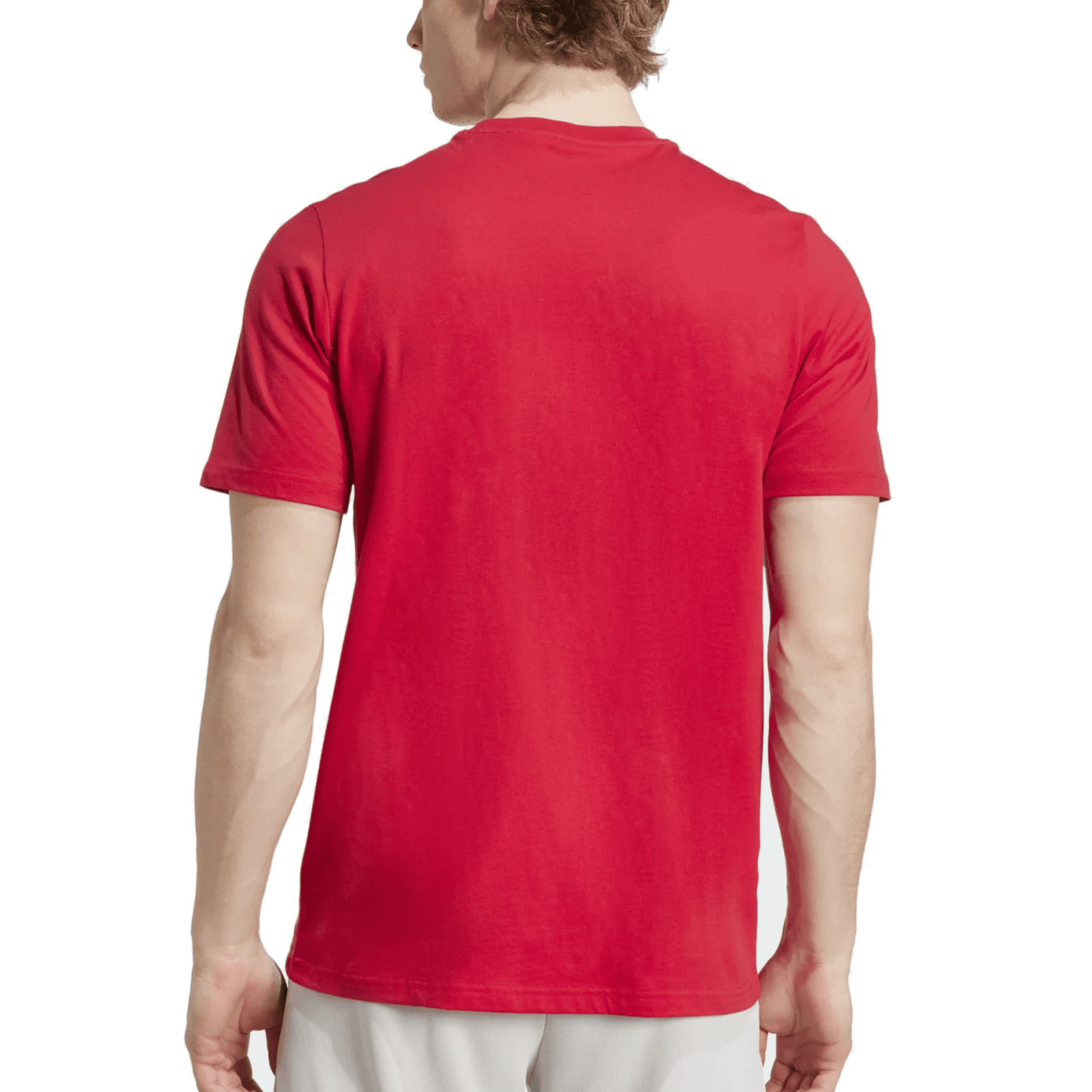 adidas Ajax Amsterdam Season Graphic T-Shirt (Red/White) | SoccerWearhouse