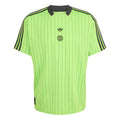 adidas Men's Celtic FC Terrace 25/26 Icon Jersey (Green)
