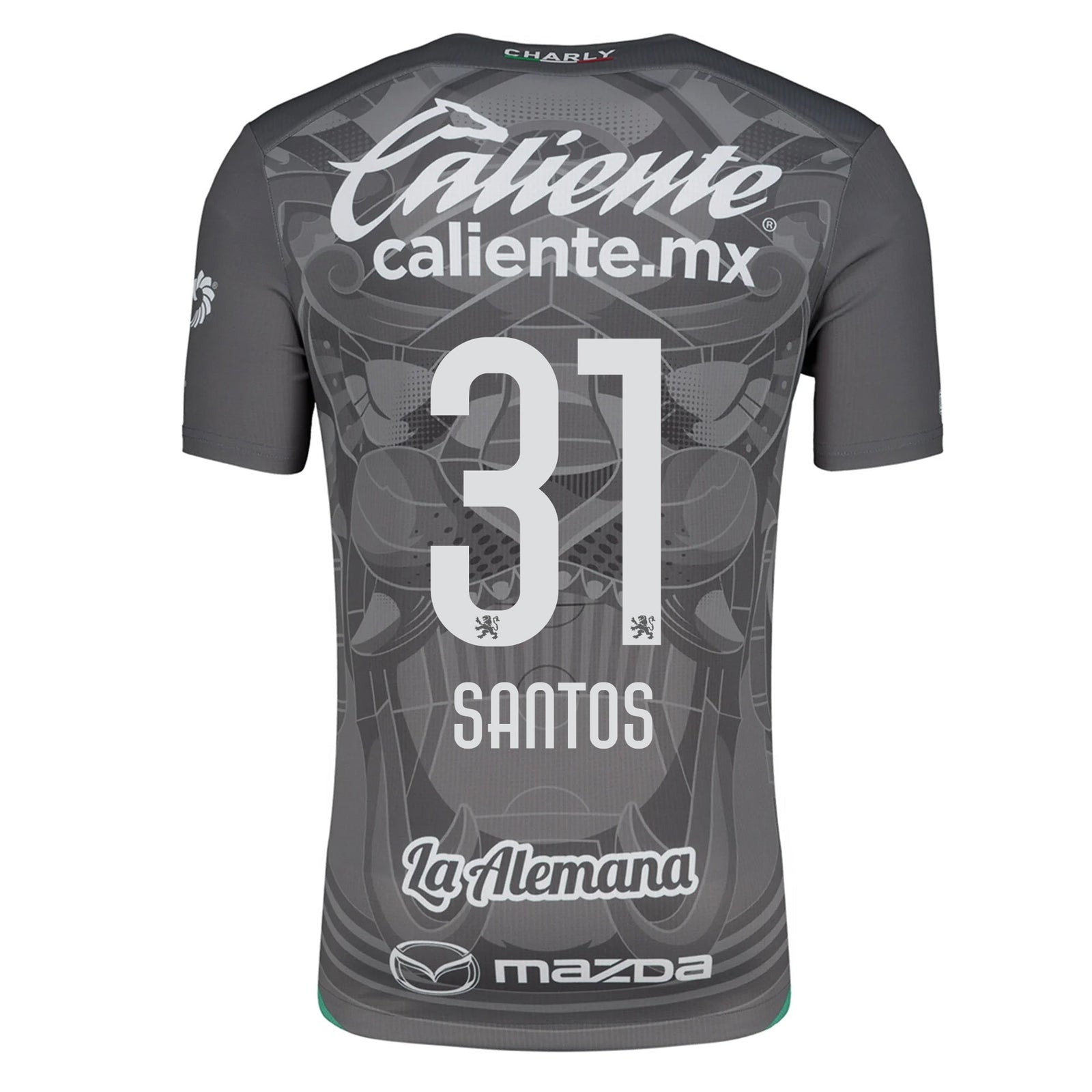 Charly Sebastian Santos Leon Third Jersey 24/25 (Grey/Green) | SoccerWearhouse