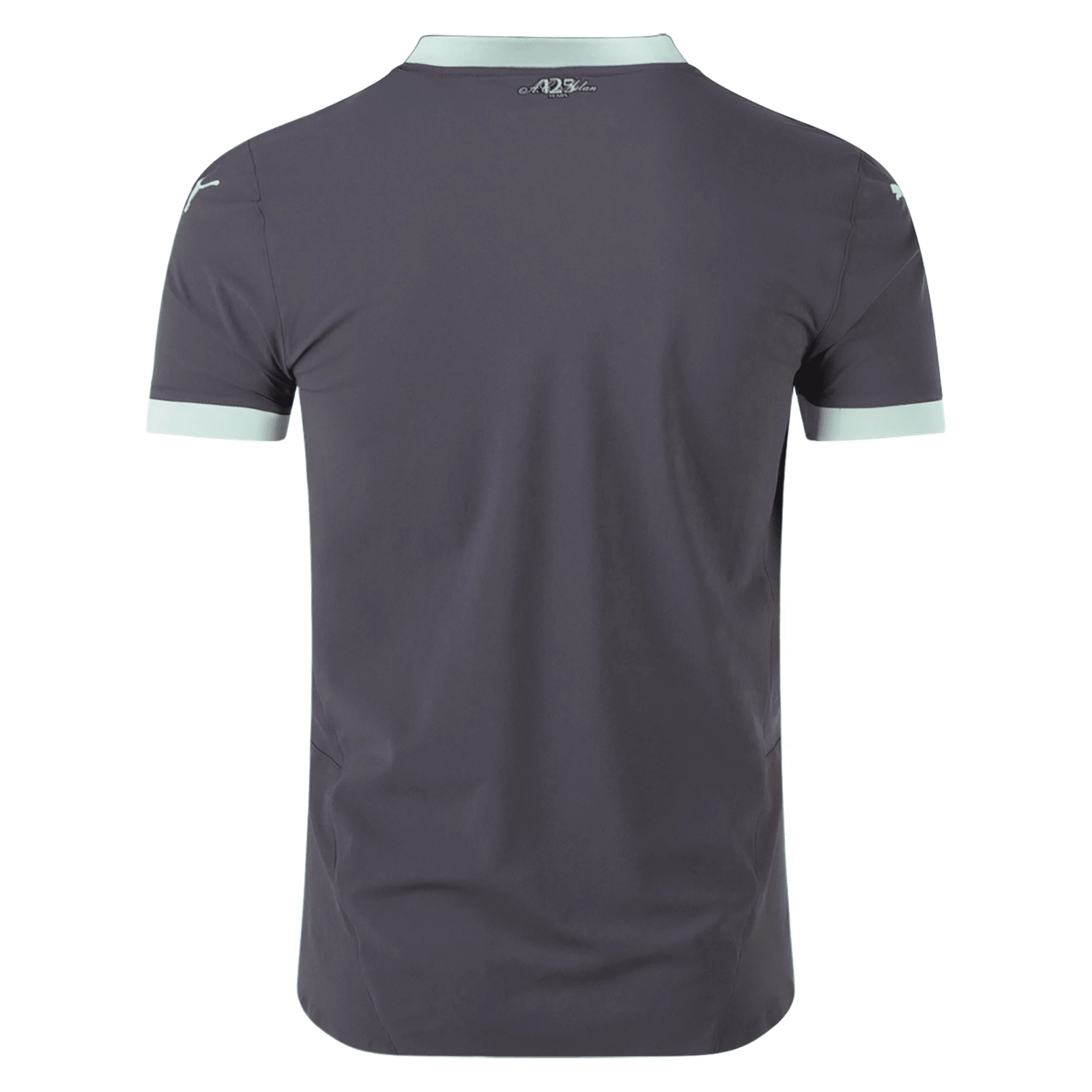 Puma AC Milan Authentic Third Jersey 24/25 (Shadow Gray/Fresh Mint) | SoccerWearhouse
