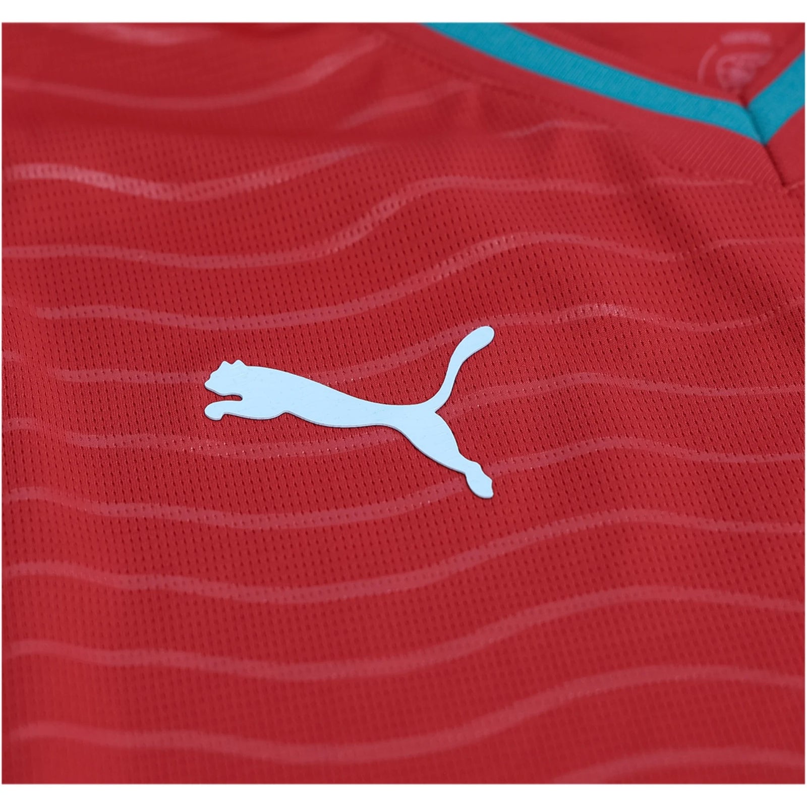 PUMA Men's Portugal Cristiano Ronaldo Long Sleeve Home World Cup 2026 Jersey (Club Red/Green Lagoon) | SoccerWearhouse