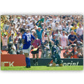 World Cup 1994 Taffarel and Baggio Poster